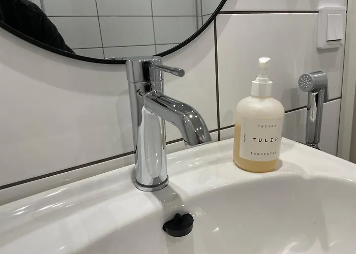 Διαμέρισμα Tulip *